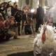 Photo: Chip Somodevilla/Getty Images